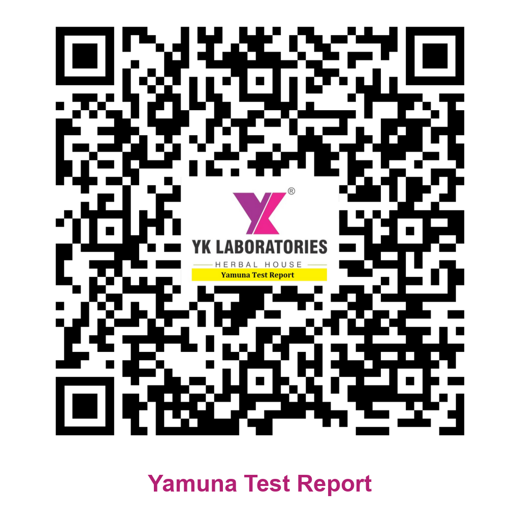 Yamuna Test Report