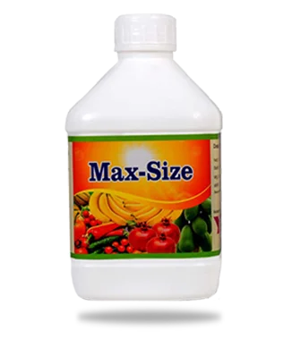 MAX-SIZE