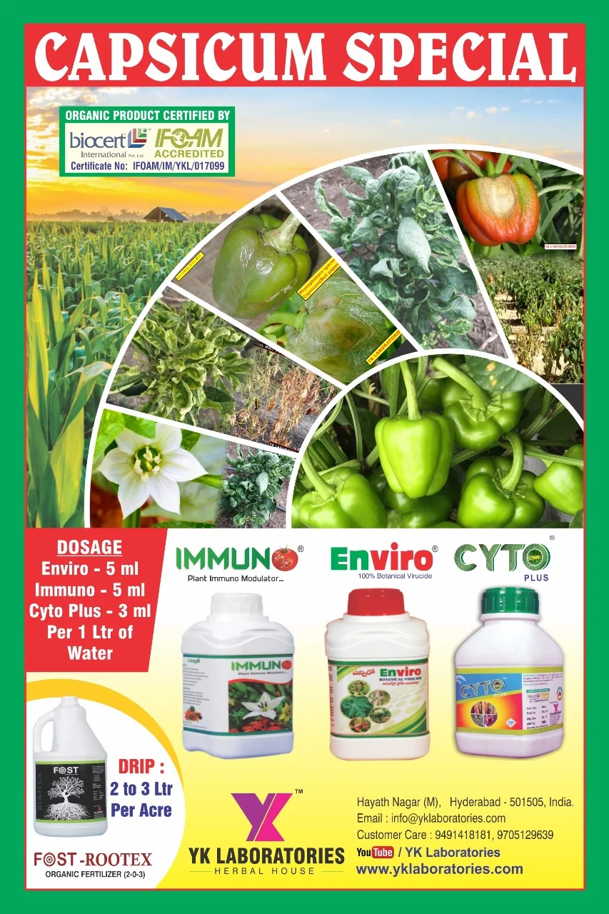 CAPSICUM-SPECIAL