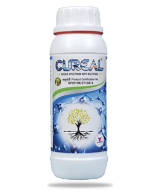 CUREAL