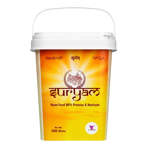 Suryam