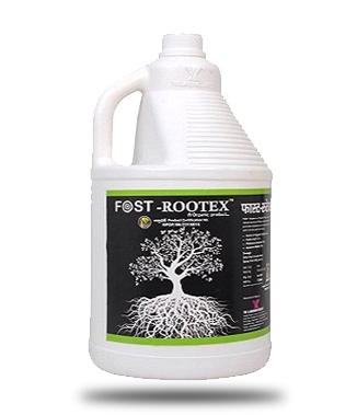 FOST ROOTEX